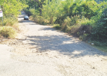 हेदवली सावळे रस्त्याची दुरवस्था