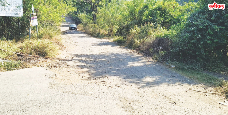 हेदवली सावळे रस्त्याची दुरवस्था