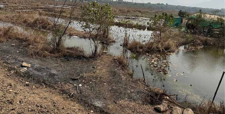 बुलेट ट्रेनमुळे शेतकऱ्यांचे नुकसान