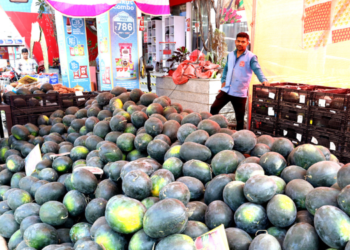 जिल्ह्यात कलिंगडचा हंगाम सुरू