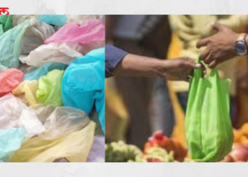 प्लास्टिकमुक्तीसाठी मनपाची कारवाई