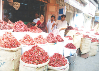 मिरची गल्लीमध्ये मिरच्यांची रेलचेल