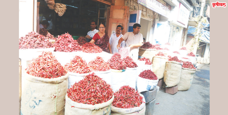 मिरची गल्लीमध्ये मिरच्यांची रेलचेल