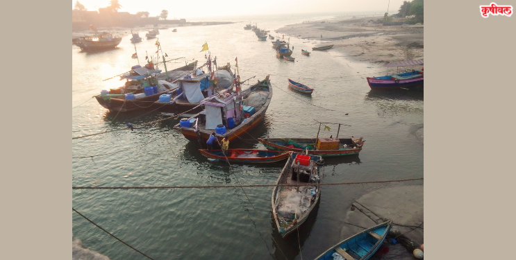 एकदरा- मुरुड खाडी गाळ मुक्त कधी होणार?