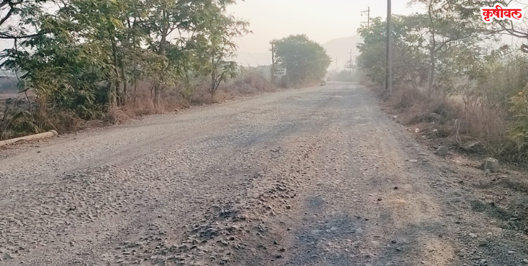 उरणमध्ये बेकायदेशीररित्या जमिनी हडप