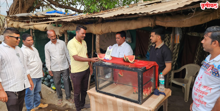 उन्हाच्या काहिलीत कलिंगडाचा आधार