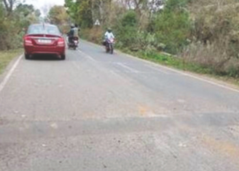 रस्त्यावरील गतिरोधकांना पांढऱ्या पट्ट्या बसविण्याची मागणी