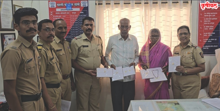 पालीतील जबरी दरोड्याचा पर्दाफाश