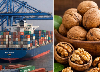 जेएनपीएमध्ये इराणहून आलेले ड्रायफ्रुट कंटेनर जप्त