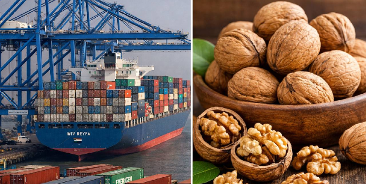 जेएनपीएमध्ये इराणहून आलेले ड्रायफ्रुट कंटेनर जप्त