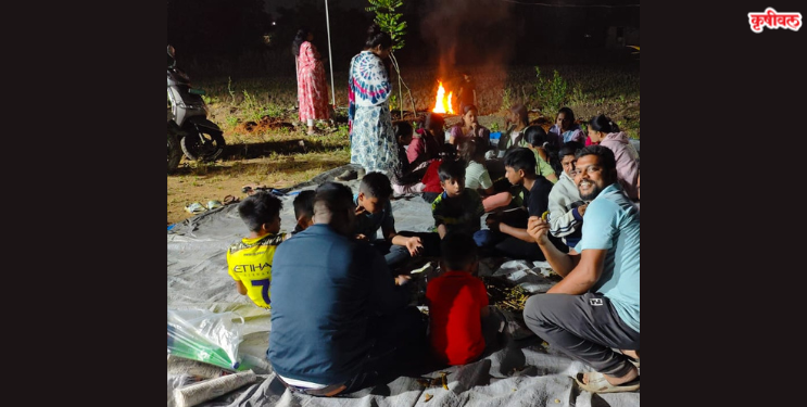 उरण तालुक्यात पोपटीचा हंगाम सुरू