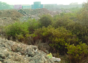 खारफुटीवर बेकायदा भराव