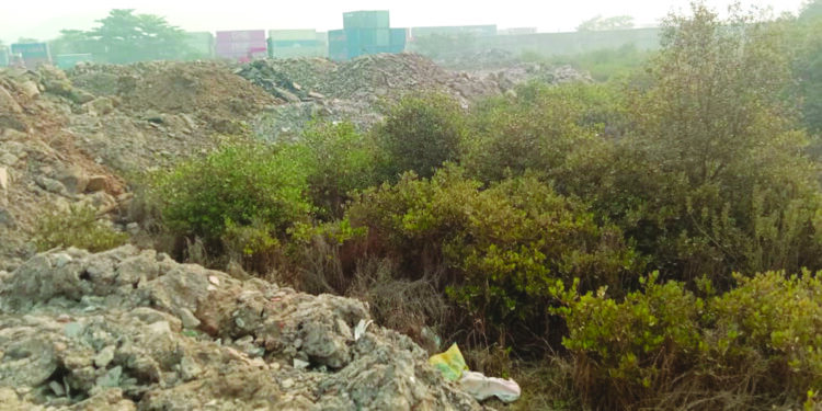 खारफुटीवर बेकायदा भराव