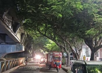 झाडांच्या फांद्यांमुळे पथदिव्यांच्या उजेडला अडथळा