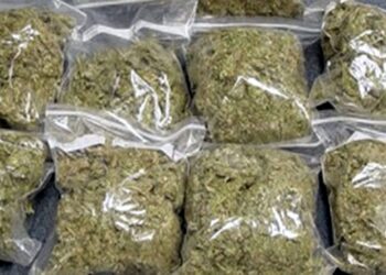 कोंबिंग ऑपरेशन दरम्यान 27 किलो गांजा जप्त