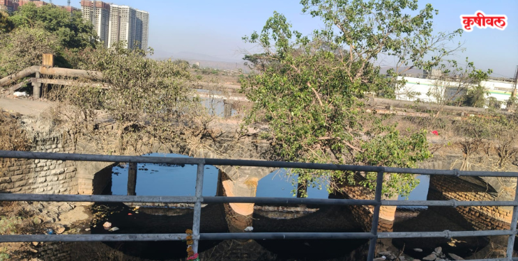 तळोज्यात कासाडी नदीचे पुन्हा ‌‘विषारी’ रूप