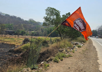 मनसेचा वर्धापनदिन झाडांच्या जीवावर