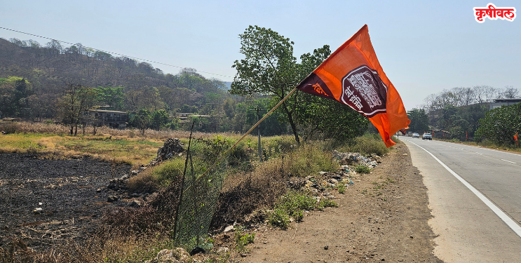 मनसेचा वर्धापनदिन झाडांच्या जीवावर