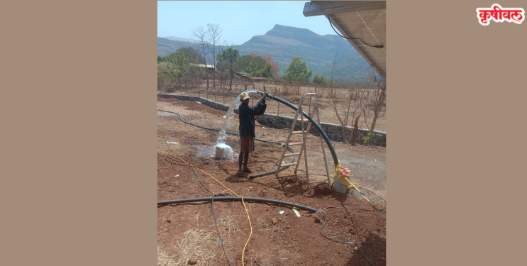 सोलर पंप कंपनीला दणका