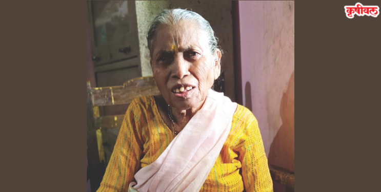 महसूल विभागाची चुक; वृद्ध महिलेची फसवणूक