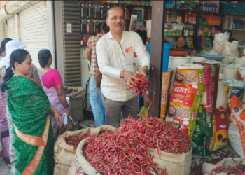 कर्जतची मिरची झाली दुप्पट तिखट
