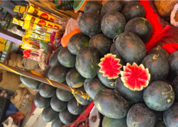 कडक उन्हामुळे नागरिकांची कलिंगडाला पसंती