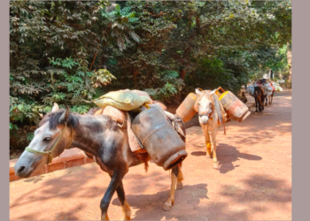 माथेरानमध्ये गॅस पुरवठा पूर्ववत