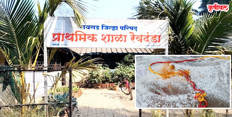रेवदंडा शाळेत अघोरी कृत्याने खळबळ