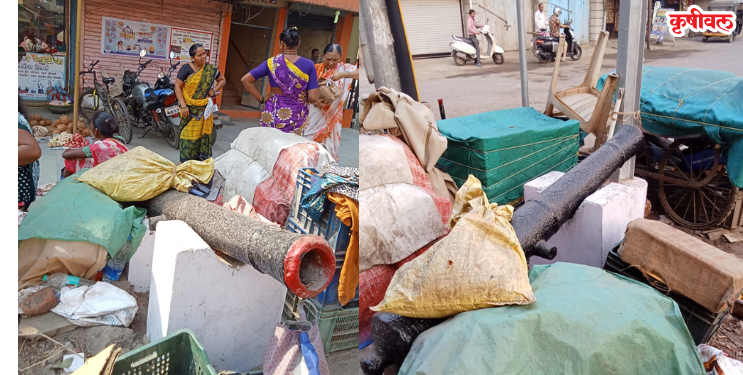 रेवदंड्यात शिवकालीन तोफांची दुरवस्था