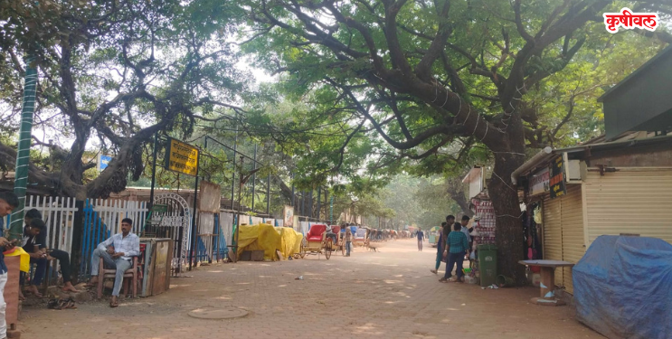 माथेरान मध्ये उन्हाळ्यात मंदीच्या झळा