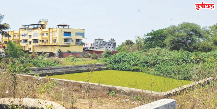 बोर्लीपंचतन तलाव कामावर संशय