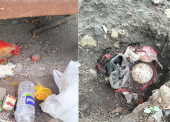 ‌‘कृषीवल’च्या बातमीने खळबळ! कळंबोली स्मशानभूमीत अघोरी कृत्यांचा संशय