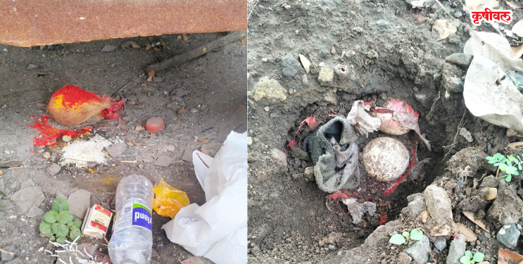 ‌‘कृषीवल’च्या बातमीने खळबळ! कळंबोली स्मशानभूमीत अघोरी कृत्यांचा संशय