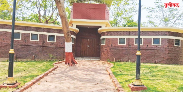 ब्ल्यू फ्लॅगचा फोल टेंभा!