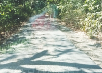 फणसाड-सुपेगाव रस्त्यावर खड्ड्यांचे साम्राज्य