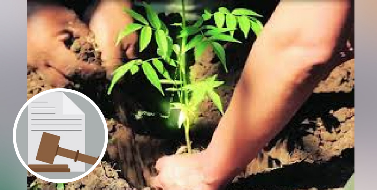 चिंचोटी वन घोटाळा प्रकरणात आरोपींना न्यायालयाची नोटीस