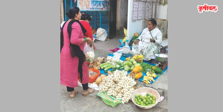 बहुगुणी अन औषधी पांढरा कांदा बाजारपेठेत दाखल