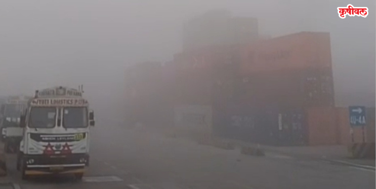 धुक्याच्या दाट चादरीने उरण ठप्प!