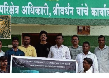 श्रीवर्धनमध्ये वनविभागाच्या भूमिकेवर संशय