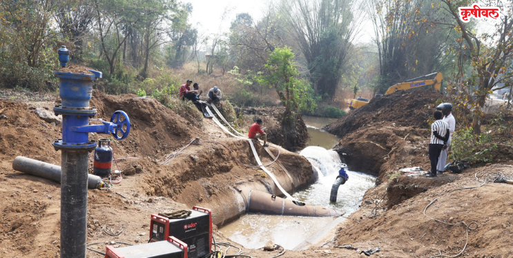 मुक्या जनावरांची पाण्यासाठी धाव