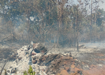 वणव्यात गवत जळून खाक