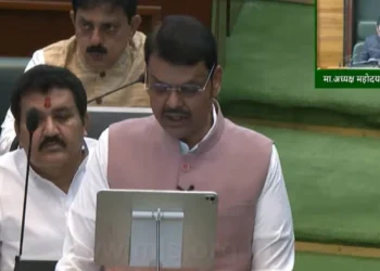 अर्थसंकल्पात घोषणांचा पाऊस