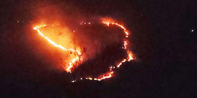 माथेरान डोंगर आगीच्या भक्षस्थानी