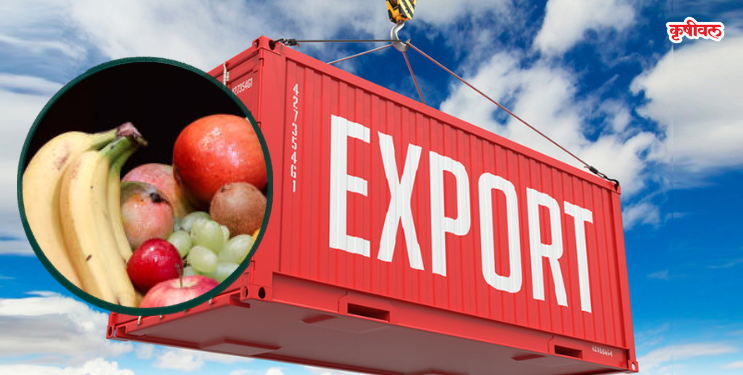 जेएनपीएत निर्यात ठप्प