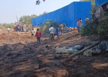 कोलमांडला येथे कांदळवन पुनर्स्थापना सुरू