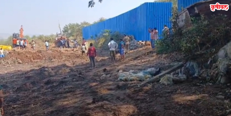 कोलमांडला येथे कांदळवन पुनर्स्थापना सुरू