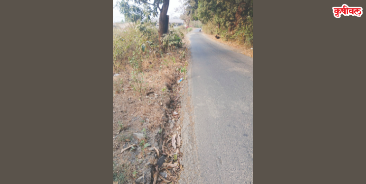 खड्डेमय रस्त्यामुळे जीवघेणा प्रवास