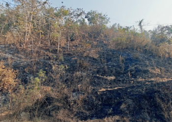 ग्रामीण भागात डोंगरांना वणवे