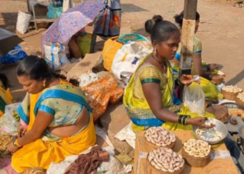 माणगावातील काजूच्या बियांना मोठी मागणी