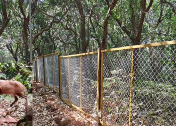 जंगली प्राण्यांच्या मुक्त संचारावर कुंपणाची गदा